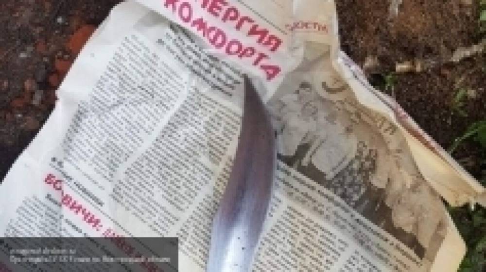 Житель Тюменской области получил четыре удара ножом по голове от собутыльника - nation-news.ru - Екатеринбург - Тюменская обл. - район Забайкалья