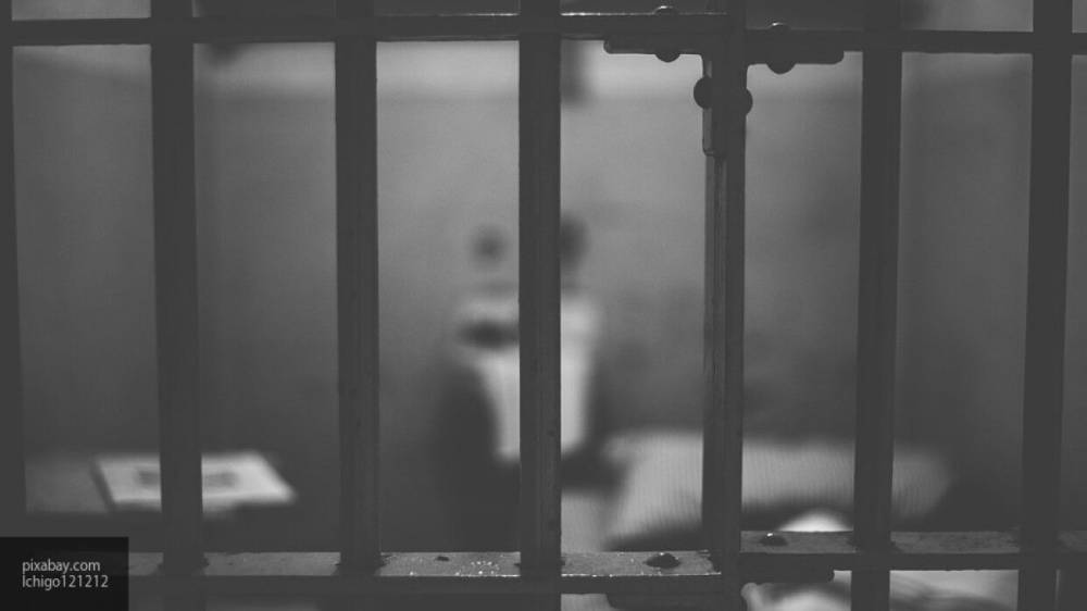 Денис Малюська - Министр юстиции Украины заявил, что готов брать на работу осужденных пожизненно граждан - politros.com - Украина