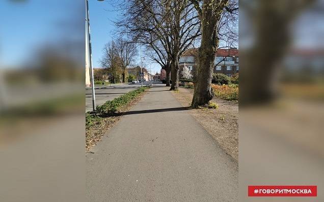 Жительница Швеции рассказала о самоизоляции граждан и дефиците дрожжей - govoritmoskva.ru - Москва - Россия - Швеция