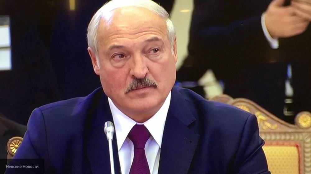 Александр Лукашенко - Лукашенко призвал заселить зону чернобыльской катастрофы в Белоруссии - inforeactor.ru - Белоруссия - Гомельская обл. - район Наровлянский
