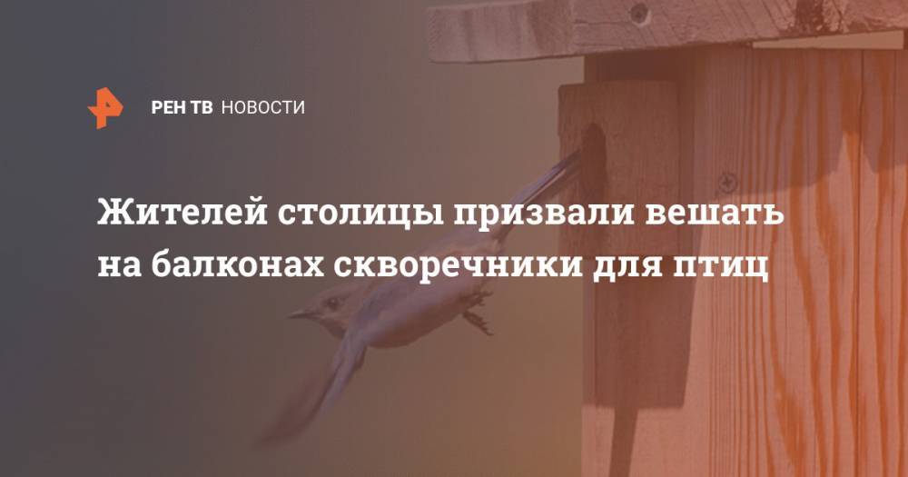 Жителей столицы призвали вешать на балконах скворечники для птиц - ren.tv