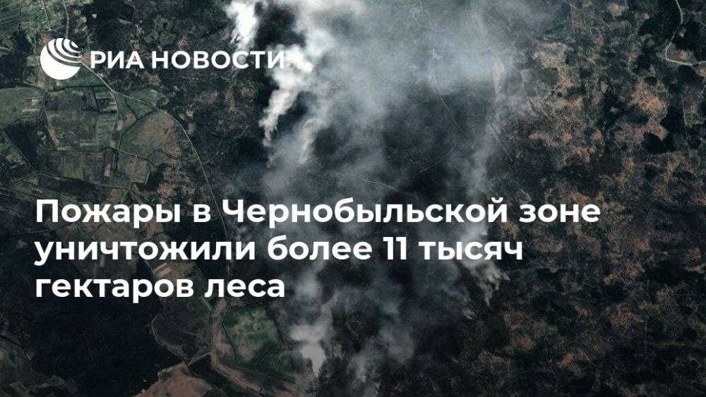 Владимир Зеленский - Пожары в Чернобыльской зоне уничтожили более 11 тысяч гектаров леса - ria.ru - Россия - Украина - Киев