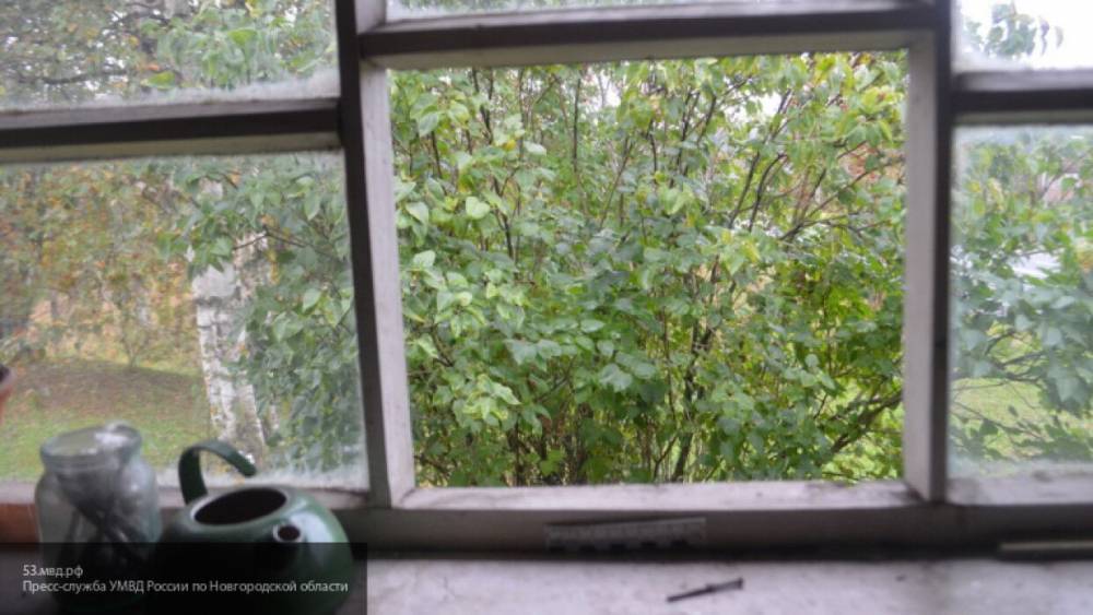 Константин Салаев - Ребенок погиб после падения с четвертого этажа в Кронштадте - nation-news.ru - Тольятти