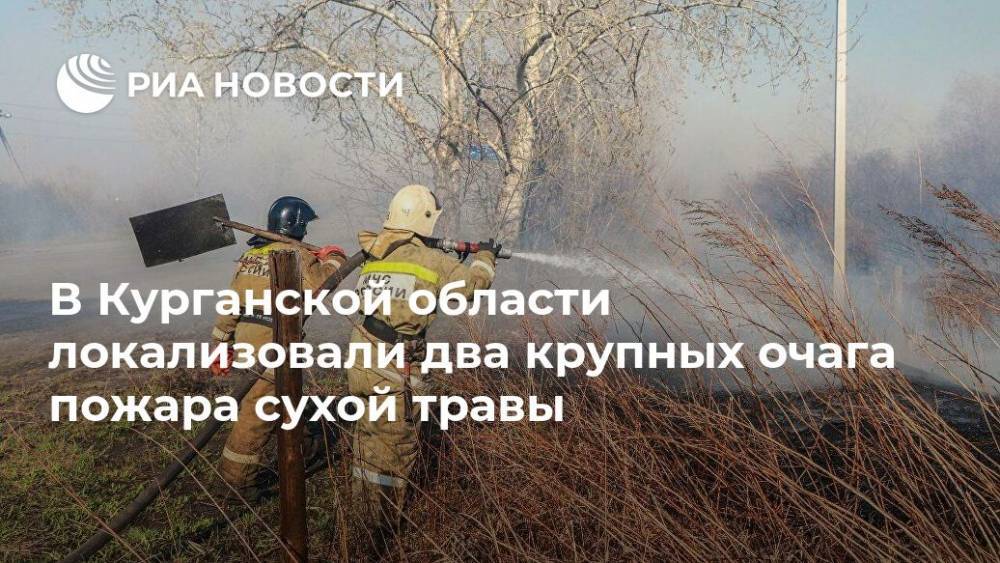 В Курганской области локализовали два крупных очага пожара сухой травы - ria.ru - Москва - Россия - Курганская обл.