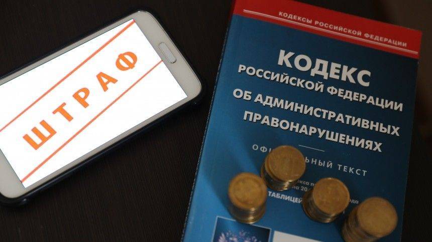 В новом КоАП появится штраф за ночной лай собаки и неисправную автосигнализацию - 5-tv.ru