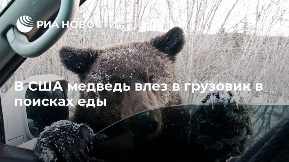 В США медведь влез в грузовик в поисках еды - ria.ru - Москва - США - шт. Колорадо