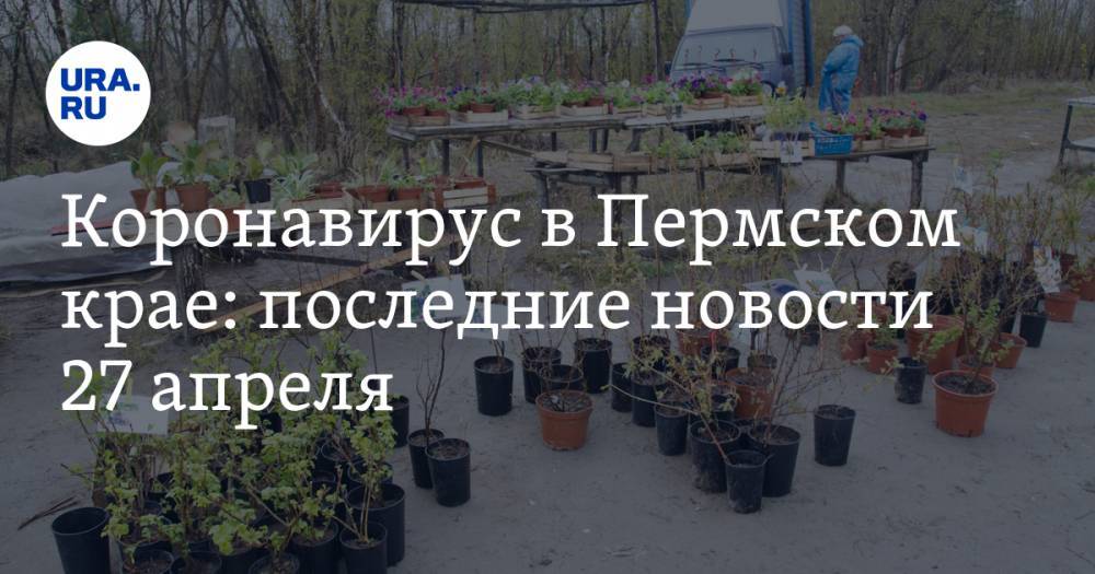 Коронавирус в Пермском крае: последние новости 27 апреля. Рекордный рост числа заболевших, еще одна больница закрыта, а дачникам делают послабление - ura.news - Россия - Пермский край