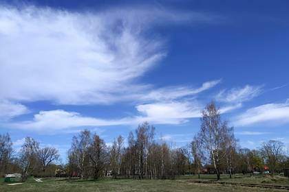 Роман Вильфанд - Россиянам предрекли самый жаркий год за последние пять лет - lenta.ru