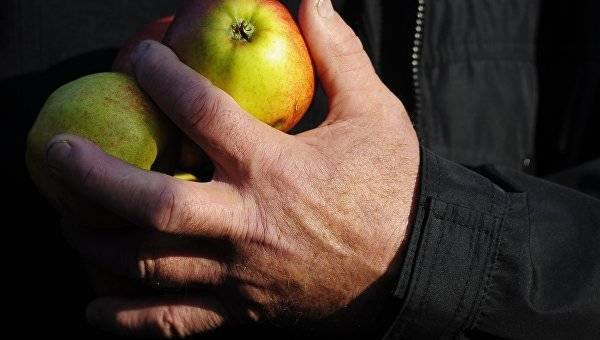 Сколько продуктов способен запасти Крым - crimea.ria.ru - Крым - Симферополь