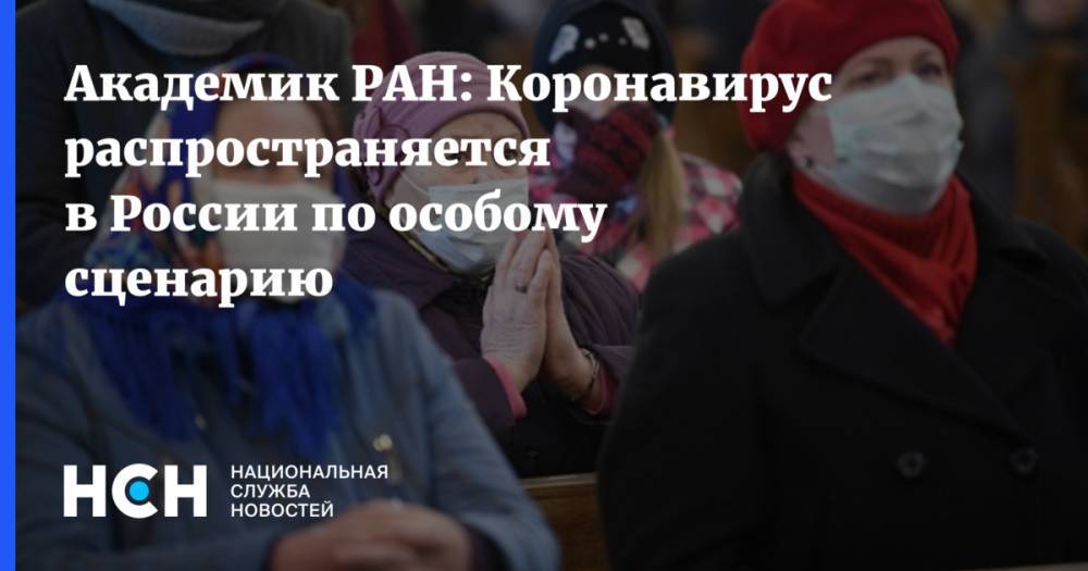 Феликс Ершов - Академик РАН: Коронавирус распространяется в России по особому сценарию - nsn.fm - Россия