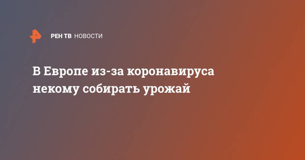 В Европе из-за коронавируса некому собирать урожай - ren.tv - Германия - Испания