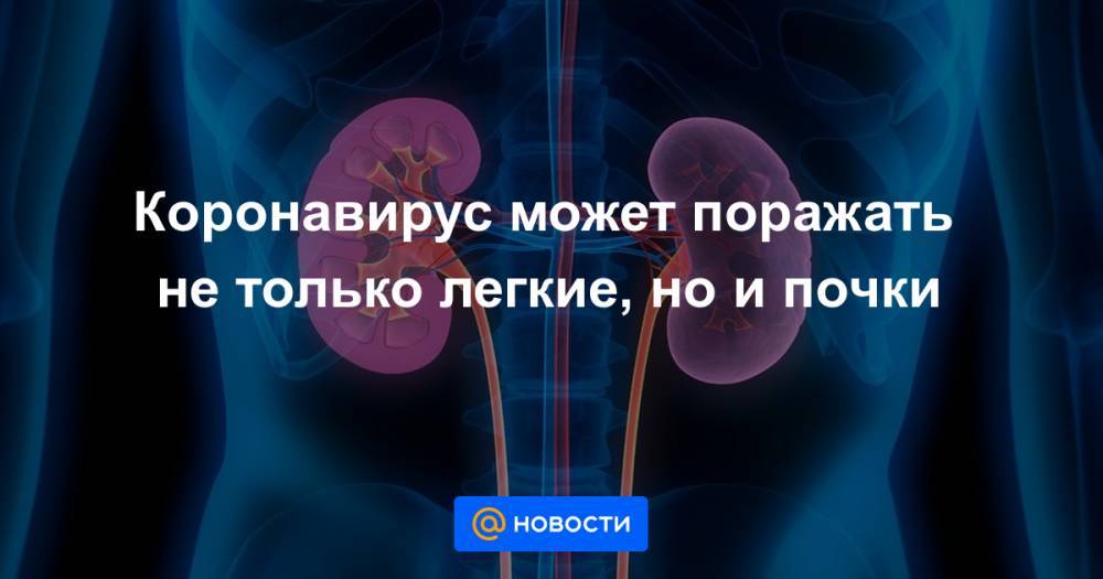Коронавирус может поражать не только легкие, но и почки - news.mail.ru - Китай - США
