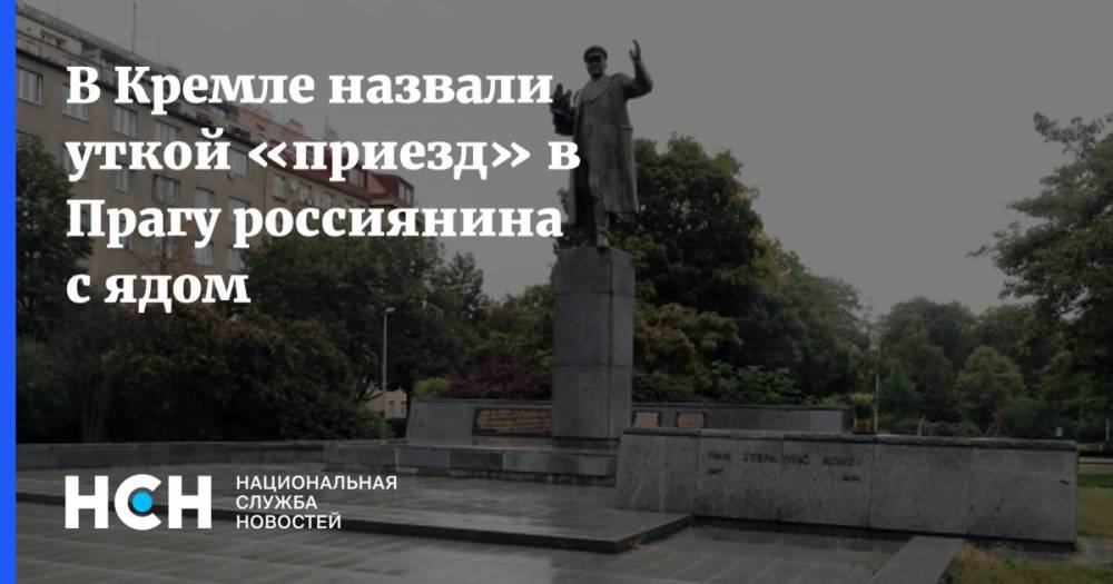 Дмитрий Песков - Иван Конев - В Кремле назвали уткой «приезд» в Прагу россиянина с ядом - nsn.fm - Москва - Россия - Чехия - Прага