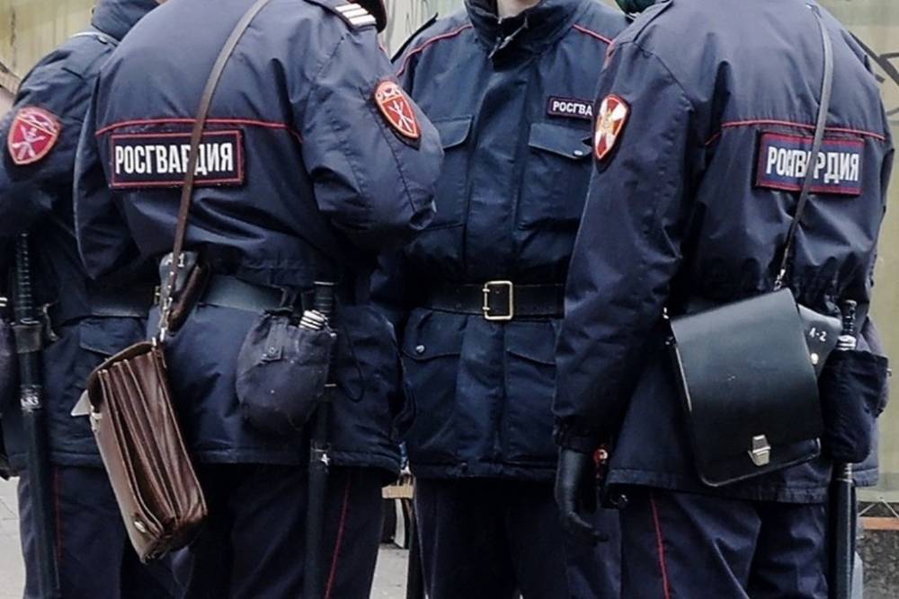 Валерий Грибакин - В Росгвардии оправдали сотрудников, мусоривших на детской площадке - mk.ru