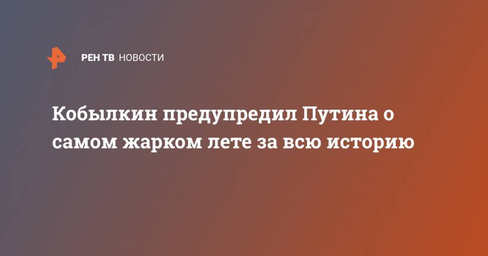 Владимир Путин - Дмитрий Кобылкин - Кобылкин предупредил Путина о самом жарком лете за всю историю - ren.tv - Россия