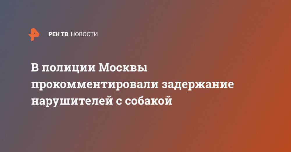 В полиции Москвы прокомментировали задержание нарушителей с собакой - ren.tv - Москва