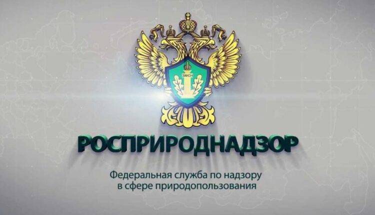 В Росприроднадзоре допустили снижение бюджета проекта «Чистый воздух» - newtvnews.ru - Россия - Красноярск