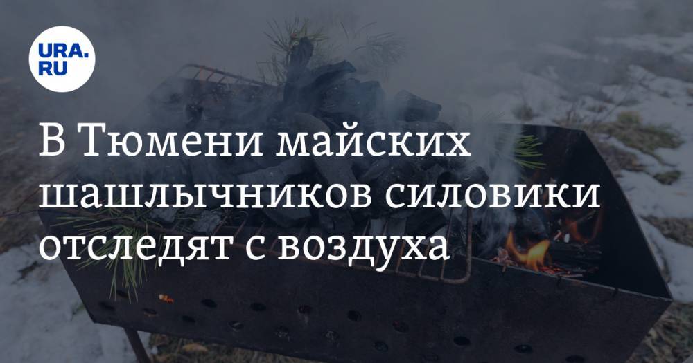 В Тюмени майских шашлычников силовики отследят с воздуха - ura.news - Тюмень - Тюменская обл.