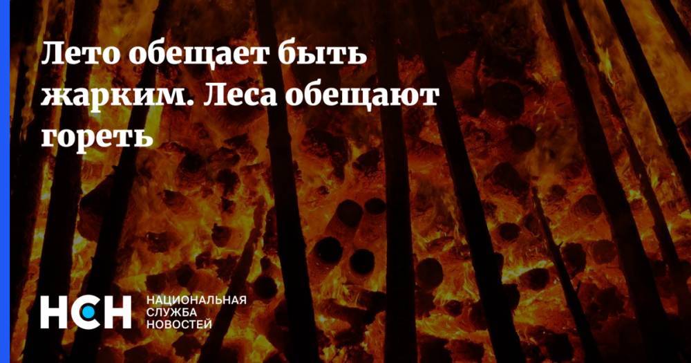 Роман Вильфанд - Дмитрий Кобылкин - Лето обещает быть жарким. Леса обещают гореть - nsn.fm - Россия - Красноярск