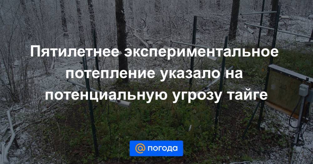 Пятилетнее экспериментальное потепление указало на потенциальную угрозу тайге - news.mail.ru - шт. Миннесота