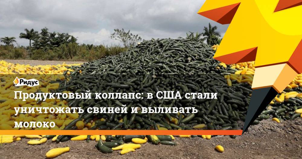 Продуктовый коллапс: в США стали уничтожать свиней и выливать молоко - ridus.ru - США - штат Айова