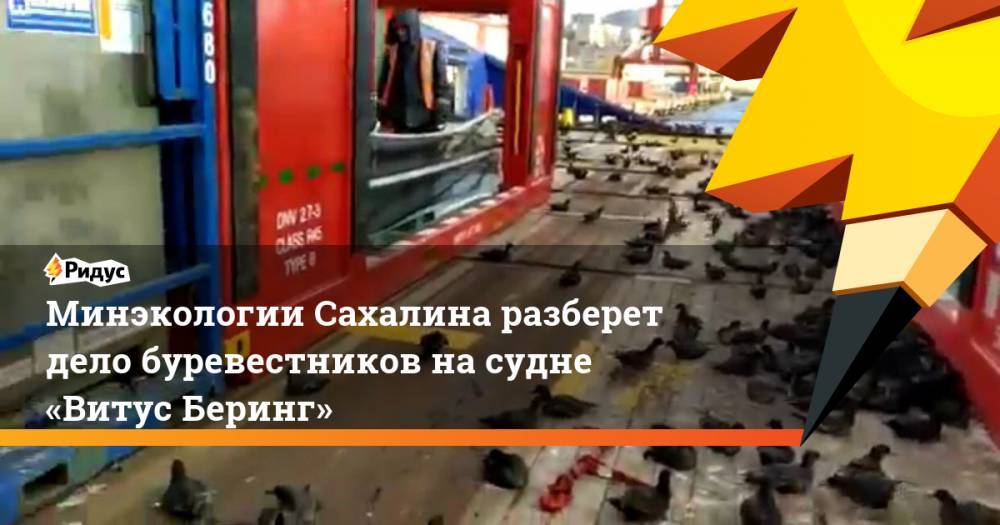 Минэкологии Сахалина разберет дело буревестников на судне «Витус Беринг» - ridus.ru - Сахалинская обл. - Холмск