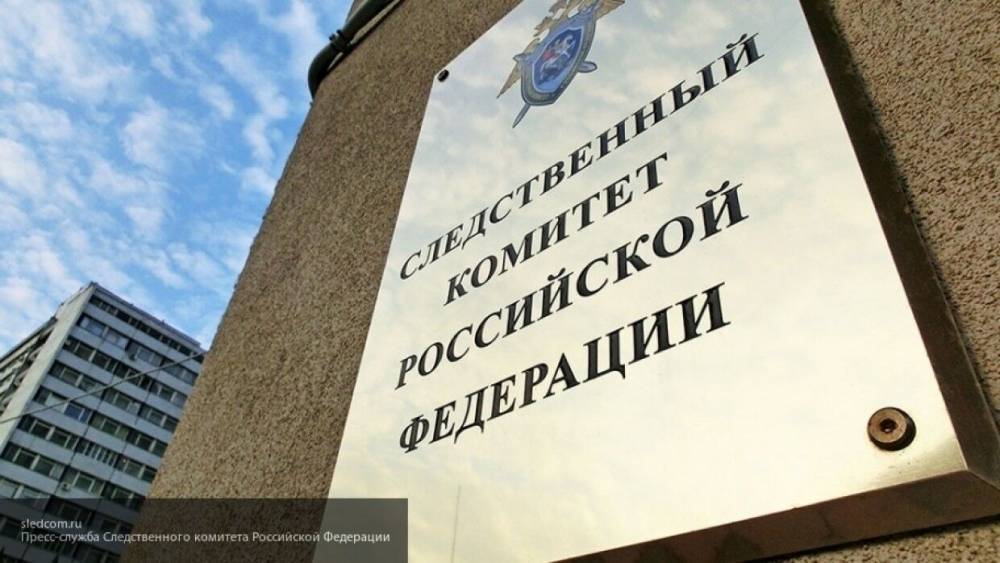 Светлана Петренко - Иван Конев - СК РФ пояснил, по какой статье заведено дело из-за сноса памятника маршалу Коневу в Праге - polit.info - Россия - Прага