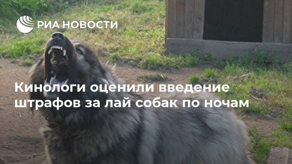 Владимир Голубев - Кинологи оценили введение штрафов за лай собак по ночам - ria.ru - Москва - Россия