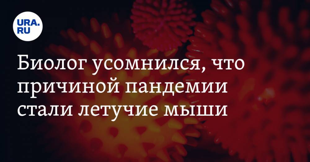 Биолог усомнился, что причиной пандемии стали летучие мыши - ura.news - Китай - Ухань