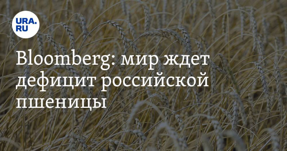 Bloomberg: мир ждет дефицит российской пшеницы - ura.news - Россия