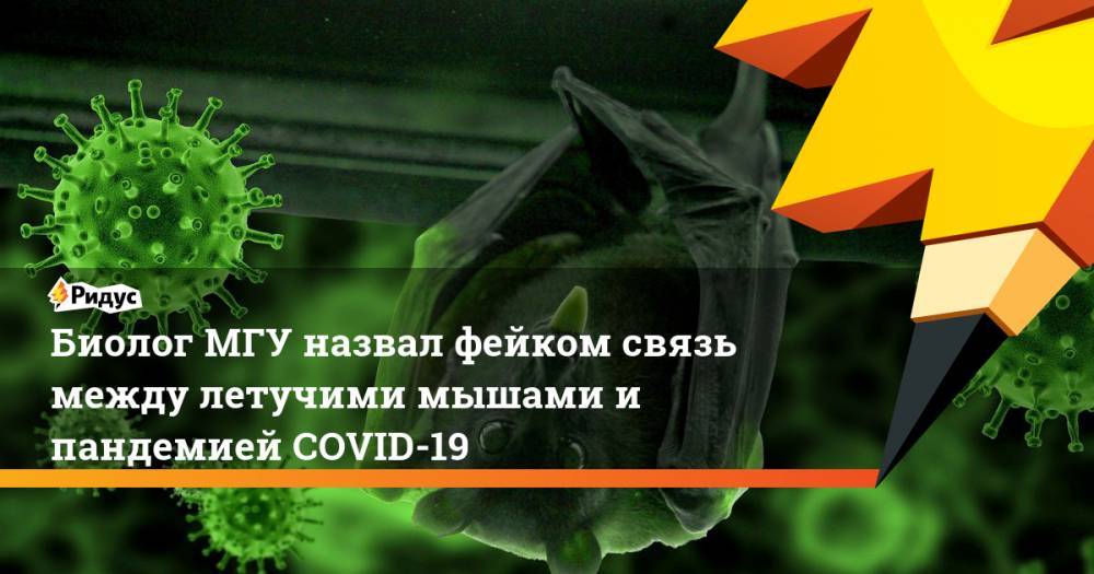 Биолог МГУ назвал фейком связь между летучими мышами и пандемией COVID-19 - ridus.ru