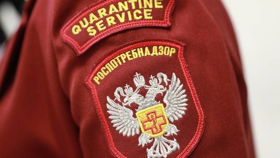 Людмила Котович - Резкий рост заражений коронавирусом в Карелии изучат правоохранители - dp.ru - Карелия