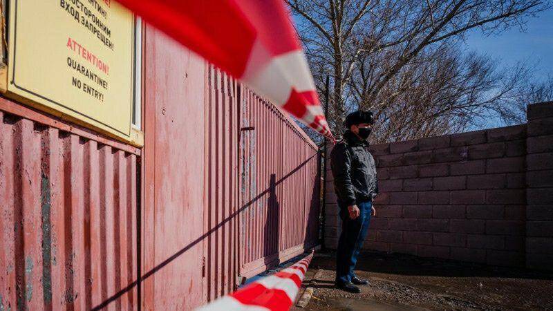 Александр Никитин - В российском регионе приостановят продажу шампуров и посещение парков - readovka.news - Тамбовская обл.
