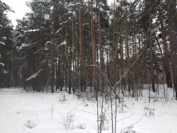 Средства на строительство хирургического корпуса в челябинском городском бору будут выделены - nakanune.ru - Строительство