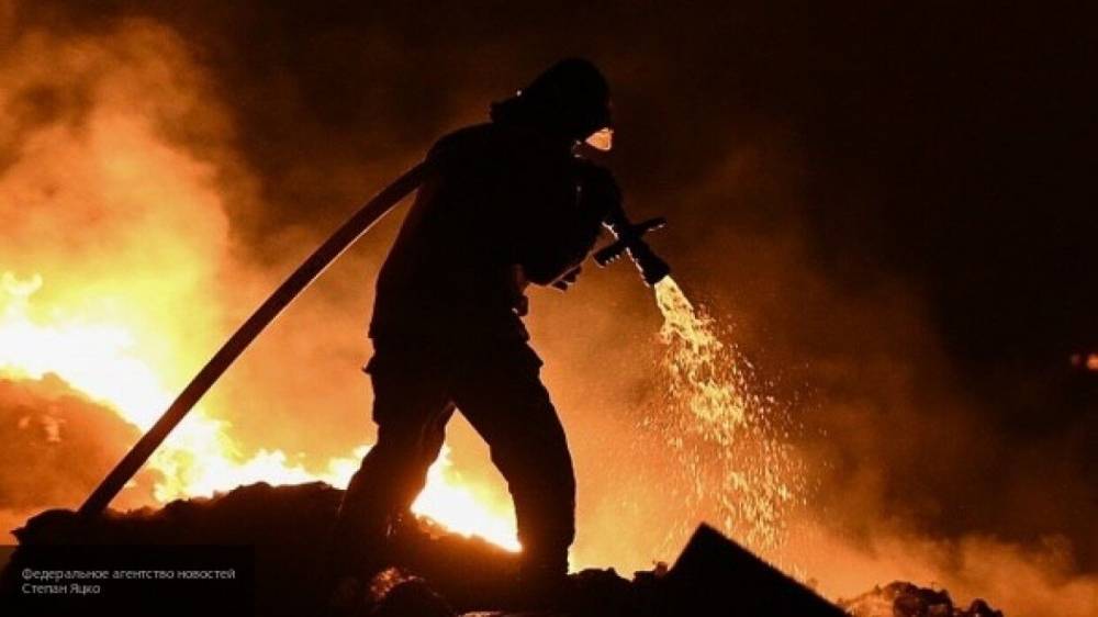 Площадь природных пожаров в России выросла до 60 тысяч га - inforeactor.ru - Россия - Красноярский край - респ. Алтай - Амурская обл. - Хабаровский край - респ.Бурятия - Забайкальский край - Томская обл.