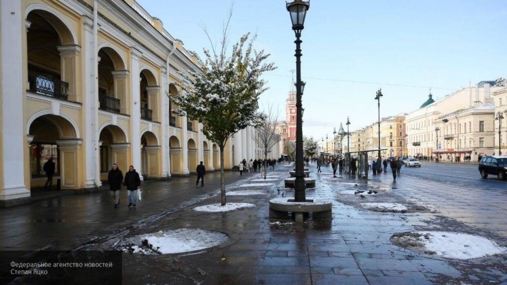 Главный синоптик Петербурга оценил прогноз о жарком лете в России - nation-news.ru - Россия - Петербурга