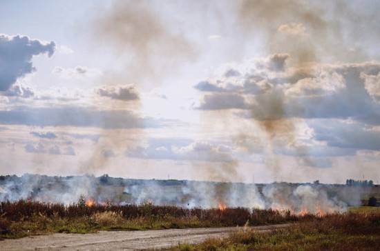 Сенатор предложила решать проблему поджога травы поправками в Лесной и Земельный кодексы - pnp.ru
