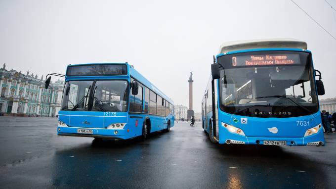 30 автобусов в цветах "Зенита" вышли на улицы Петербурга - piter.tv - Санкт-Петербург - Минск