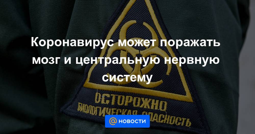 Коронавирус может поражать мозг и центральную нервную систему - news.mail.ru - Россия
