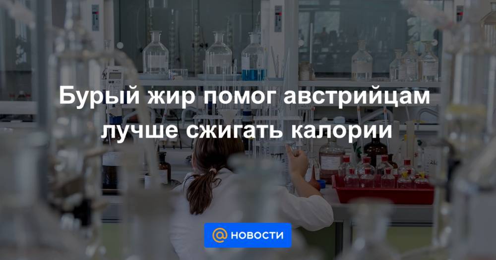 Бурый жир помог австрийцам лучше сжигать калории - news.mail.ru - Вена