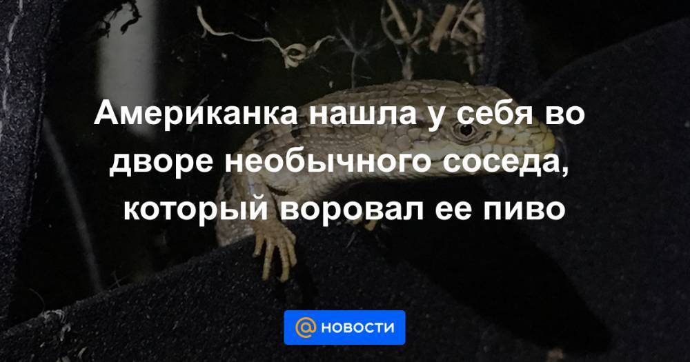 Американка нашла у себя во дворе необычного соседа, который воровал ее пиво - news.mail.ru - Лос-Анджелес