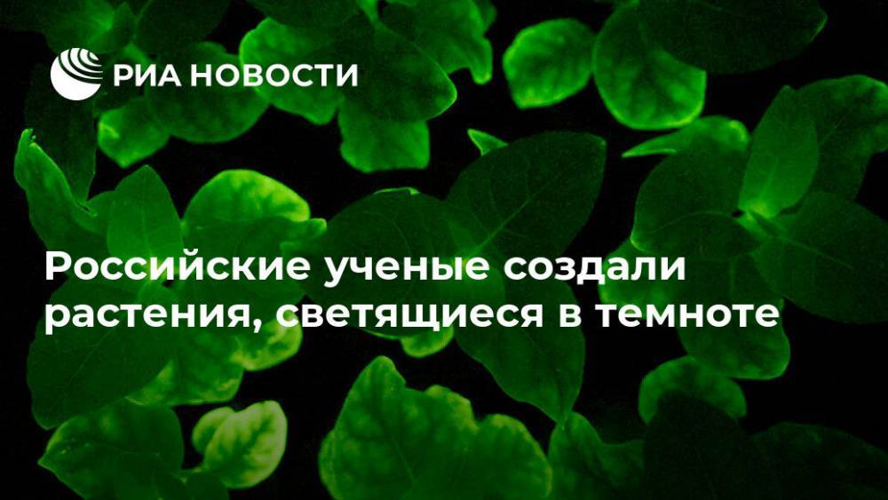 Российские ученые создали растения, светящиеся в темноте - ria.ru - Москва