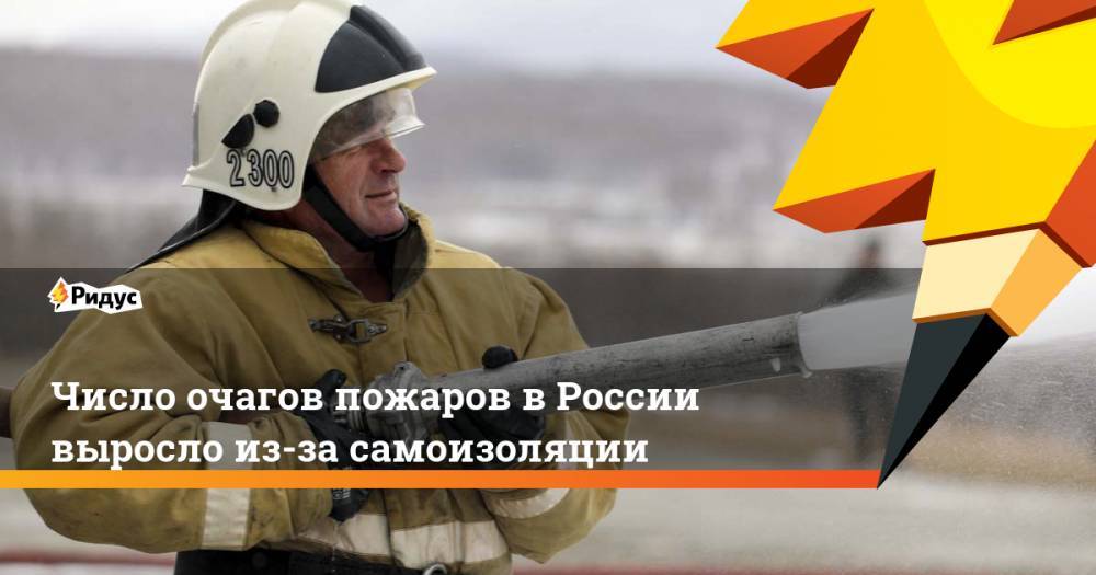 Сергей Аноприенко - Число очагов пожаров в России выросло из-за самоизоляции - ridus.ru - Россия