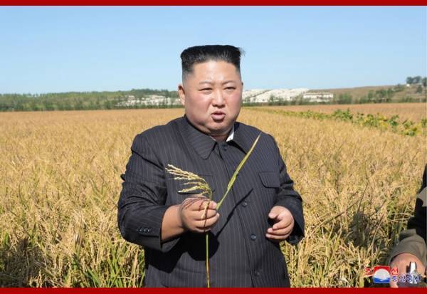 Ким Ченын - Трамп вновь пожелал всего доброго Ким Чен Ыну - nakanune.ru - США - КНДР