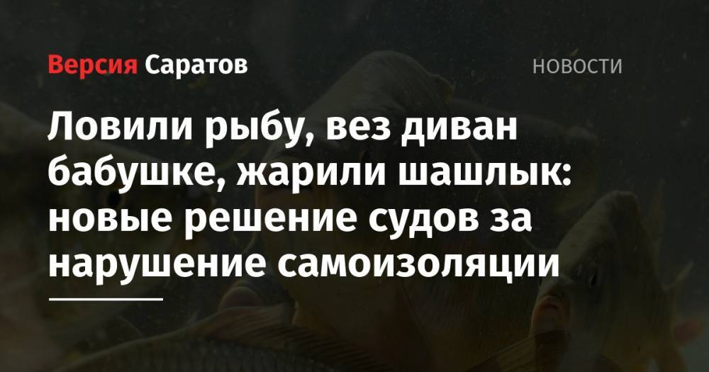 Ловили рыбу, вез диван бабушке, жарили шашлык: новые решение судов за нарушение самоизоляции - nversia.ru - Саратовская обл. - Саратов