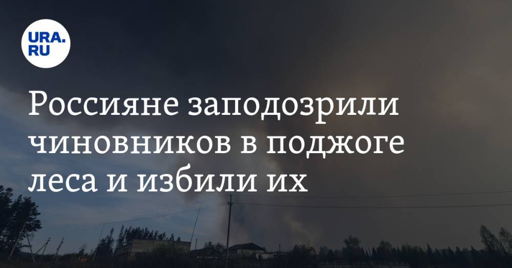 Россияне заподозрили чиновников в поджоге леса и избили их. ВИДЕО - ura.news - Иркутская обл. - район Усть-Кутский