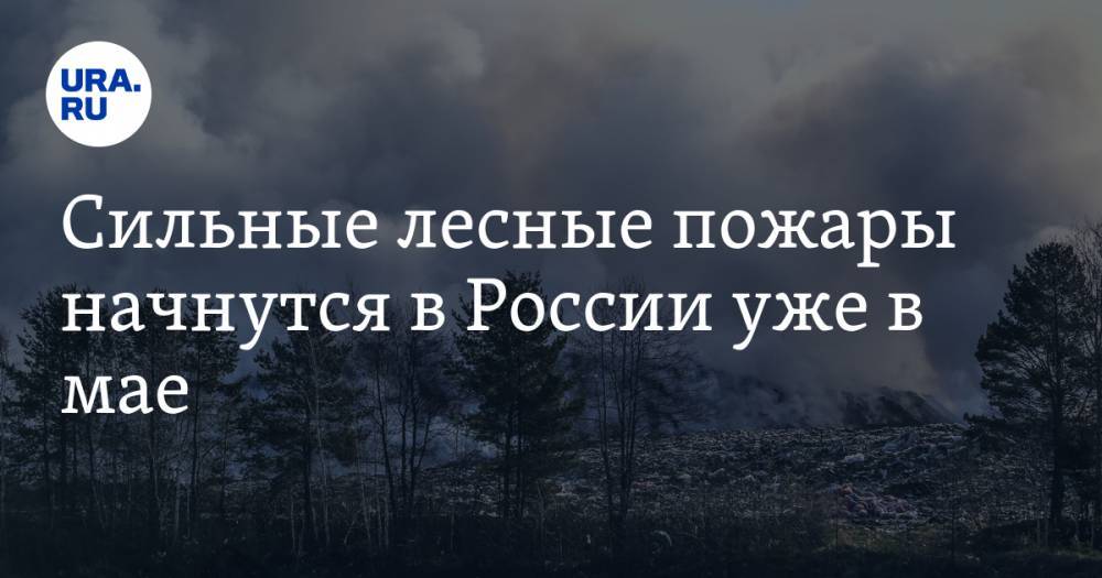Роман Вильфанд - Сильные лесные пожары начнутся в России уже в мае - ura.news - Россия