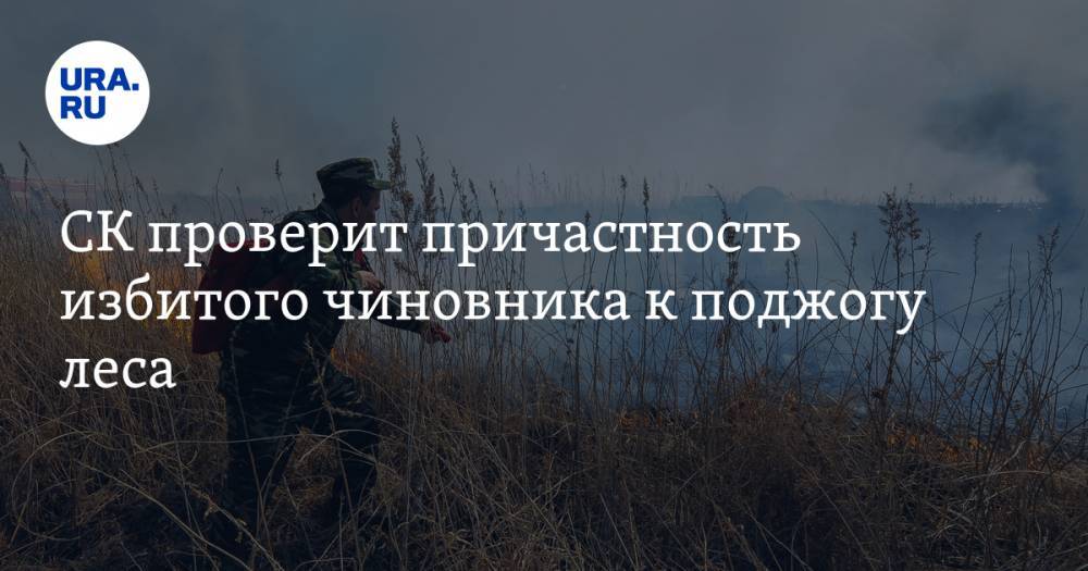 СК проверит причастность избитого чиновника к поджогу леса - ura.news - Иркутская обл. - район Усть-Кутский