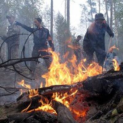Евгений Зиничев - 46 лесных пожаров зафиксировано в регионах Сибири - radiomayak.ru - Красноярский край - Иркутская обл. - Новосибирская обл. - округ Сибирский