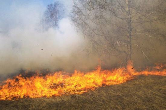 В Приангарье чиновников заподозрили в поджоге леса - pnp.ru - Иркутская обл. - район Усть-Кутский